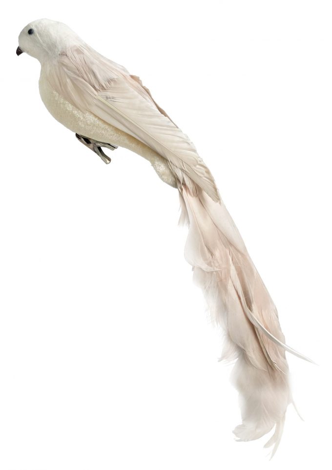 Eglītes rotājums Shishi 50012 Feather bird beige long tail 45cm