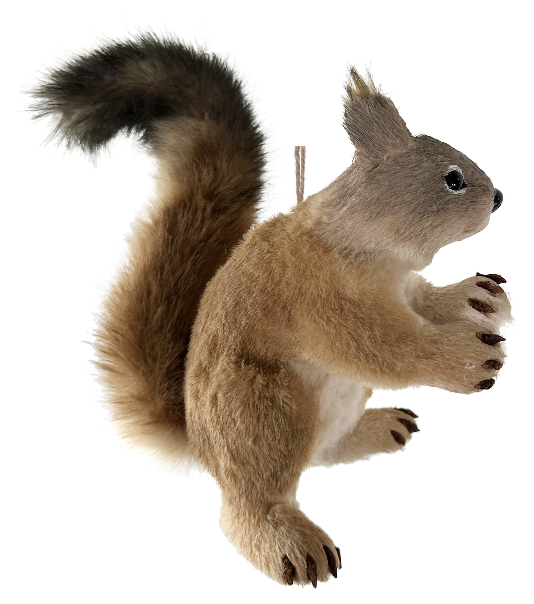 Eglīšu rotājums SHISHI Squirrel brown 33x15x23cm