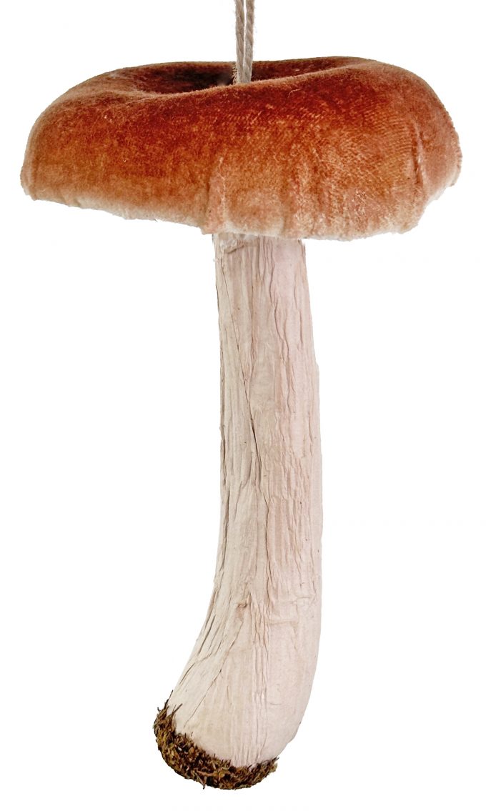 Eglīšu rotājums SHISHI Porcini ornament brown - Image 2