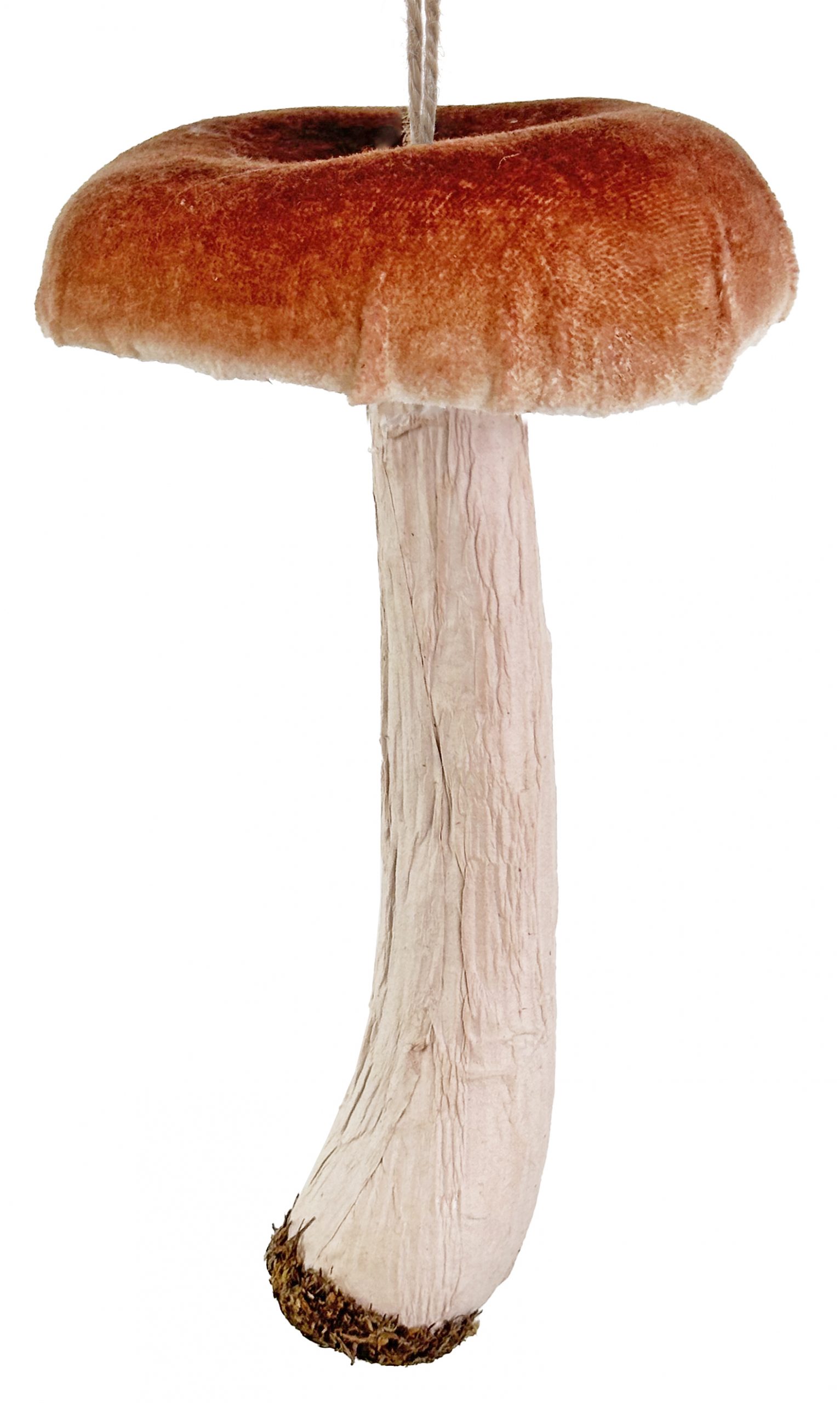 Eglīšu rotājums SHISHI Porcini ornament brown - Image 2
