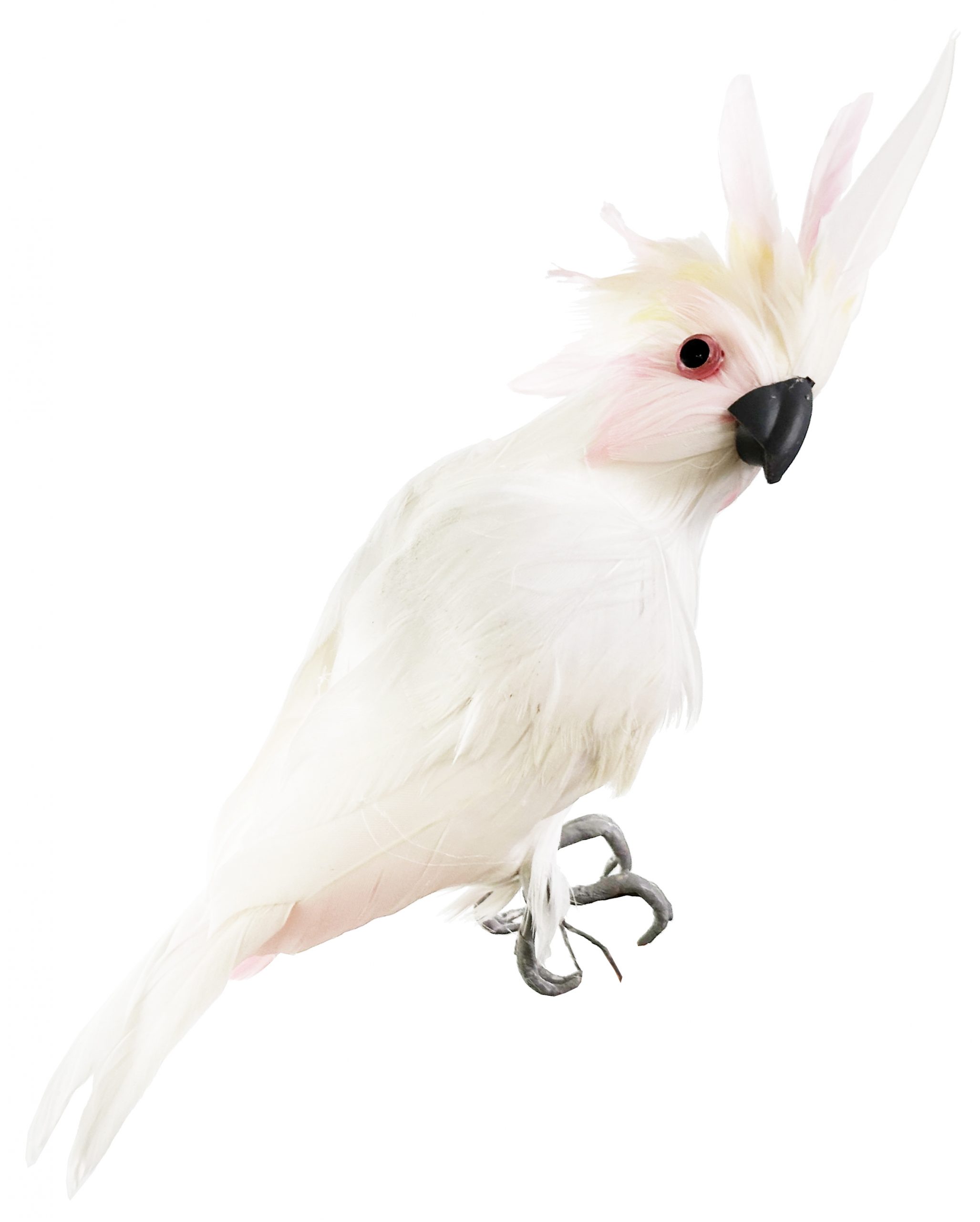 Eglīšu rotājums SHISHI Parrot white pink 24cm